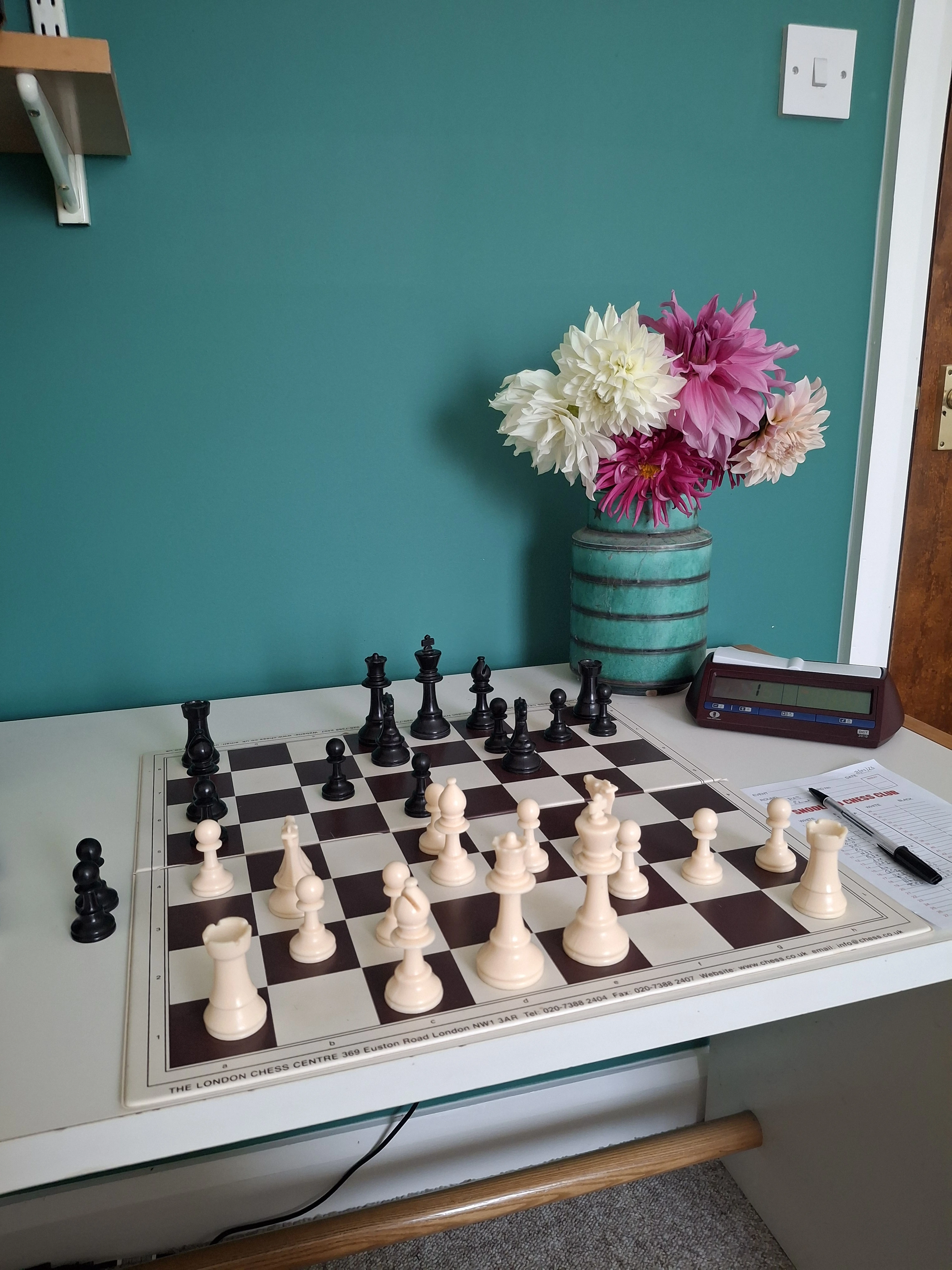 a display of dahlias